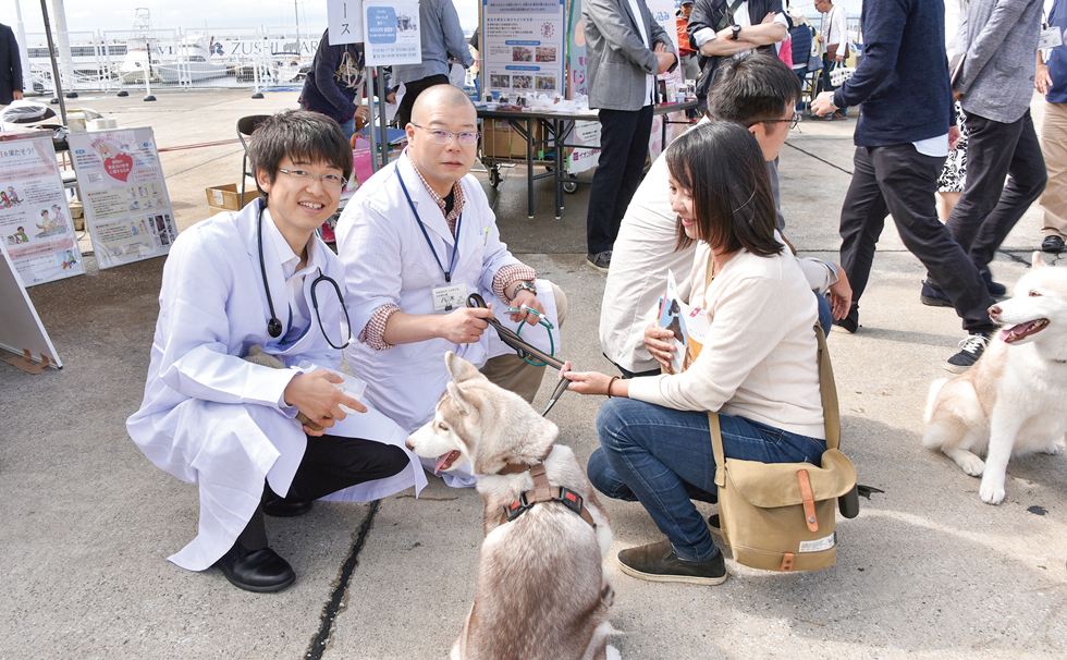 動物愛護意識の普及