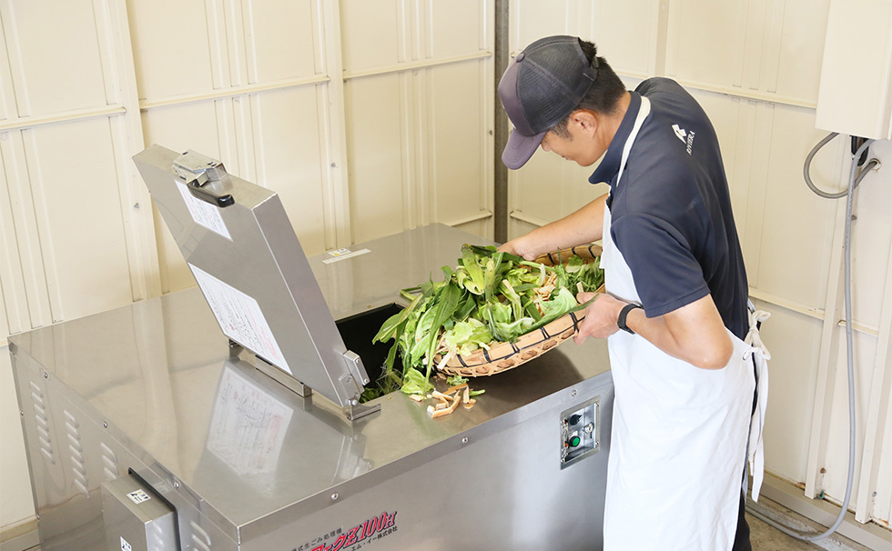 Growing vegetables using a recycling farming method Riviera cyclical vegetables