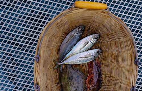 Cast your line from a local fishing boat