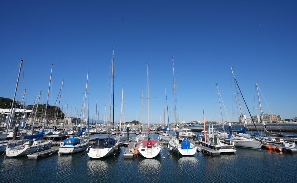 Enoshima Yacht Harbor