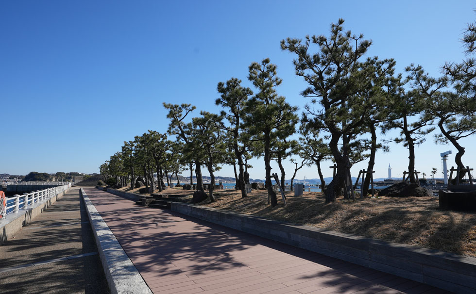 Facilities around Enoshima Yacht Harbor