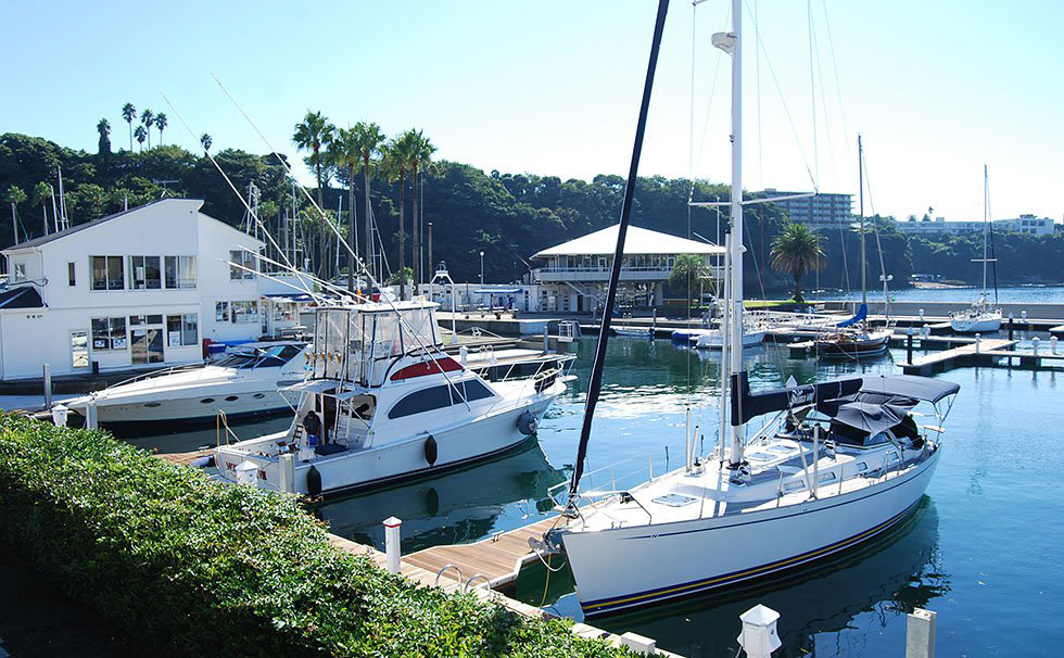 Yotto Harbor