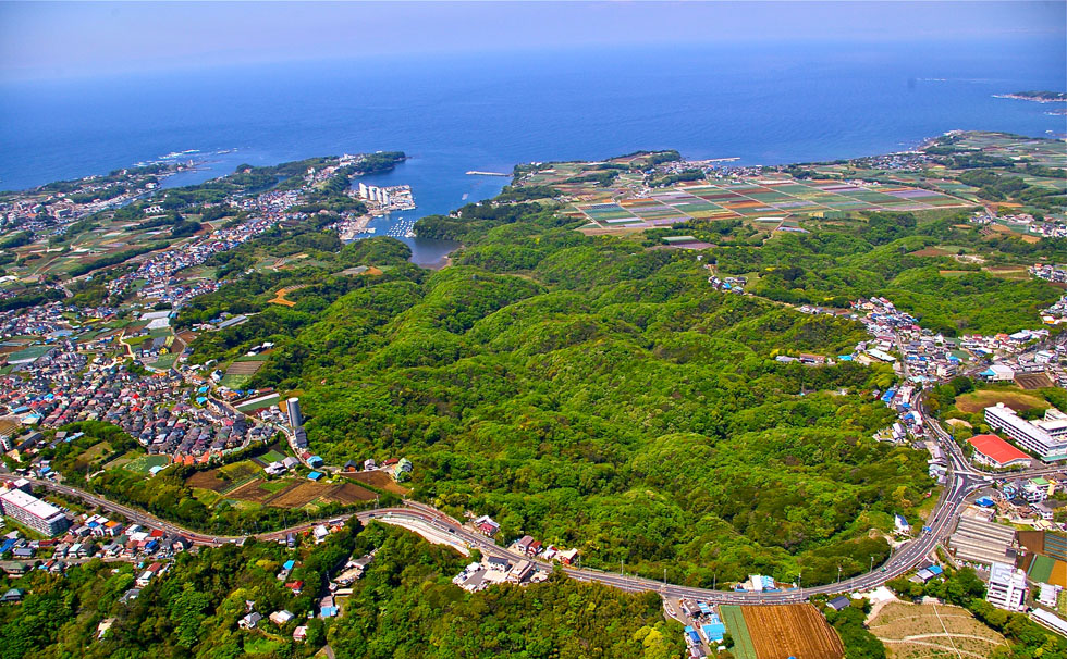 小網代の森