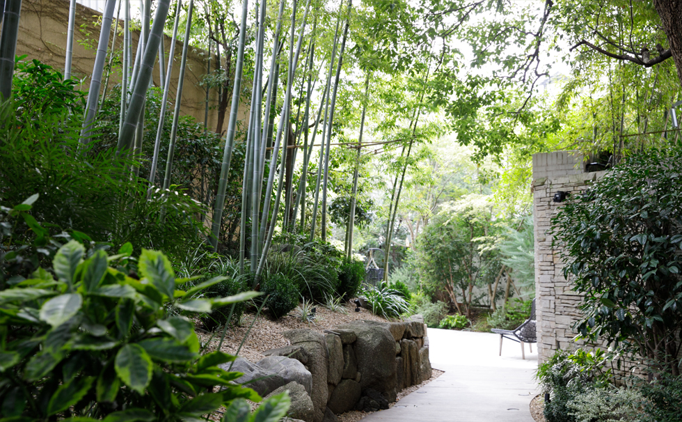 GARDEN FOREST