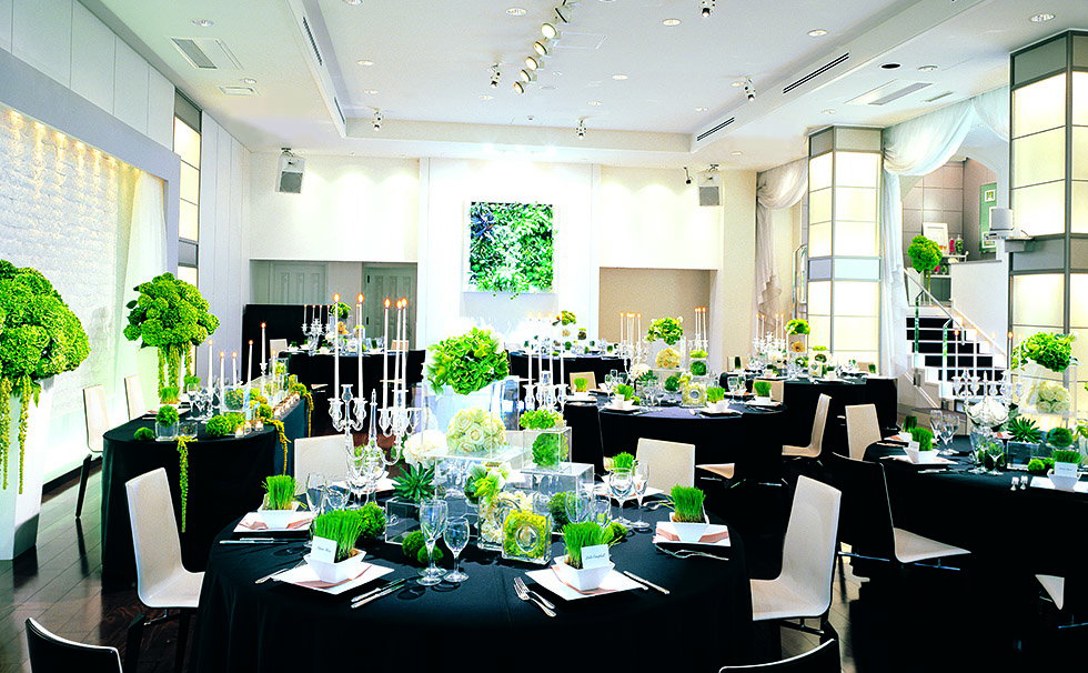 Gallery Oasis