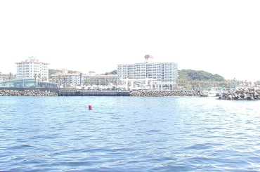 写真：海