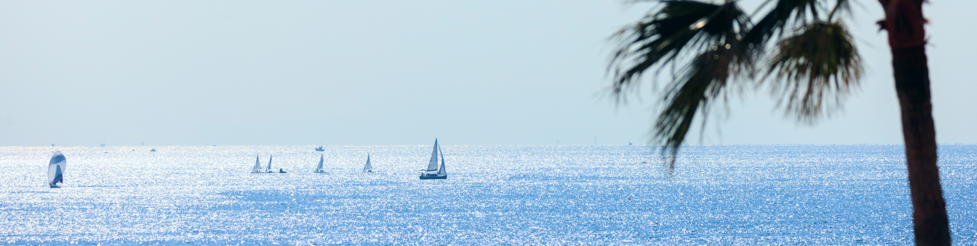写真：海