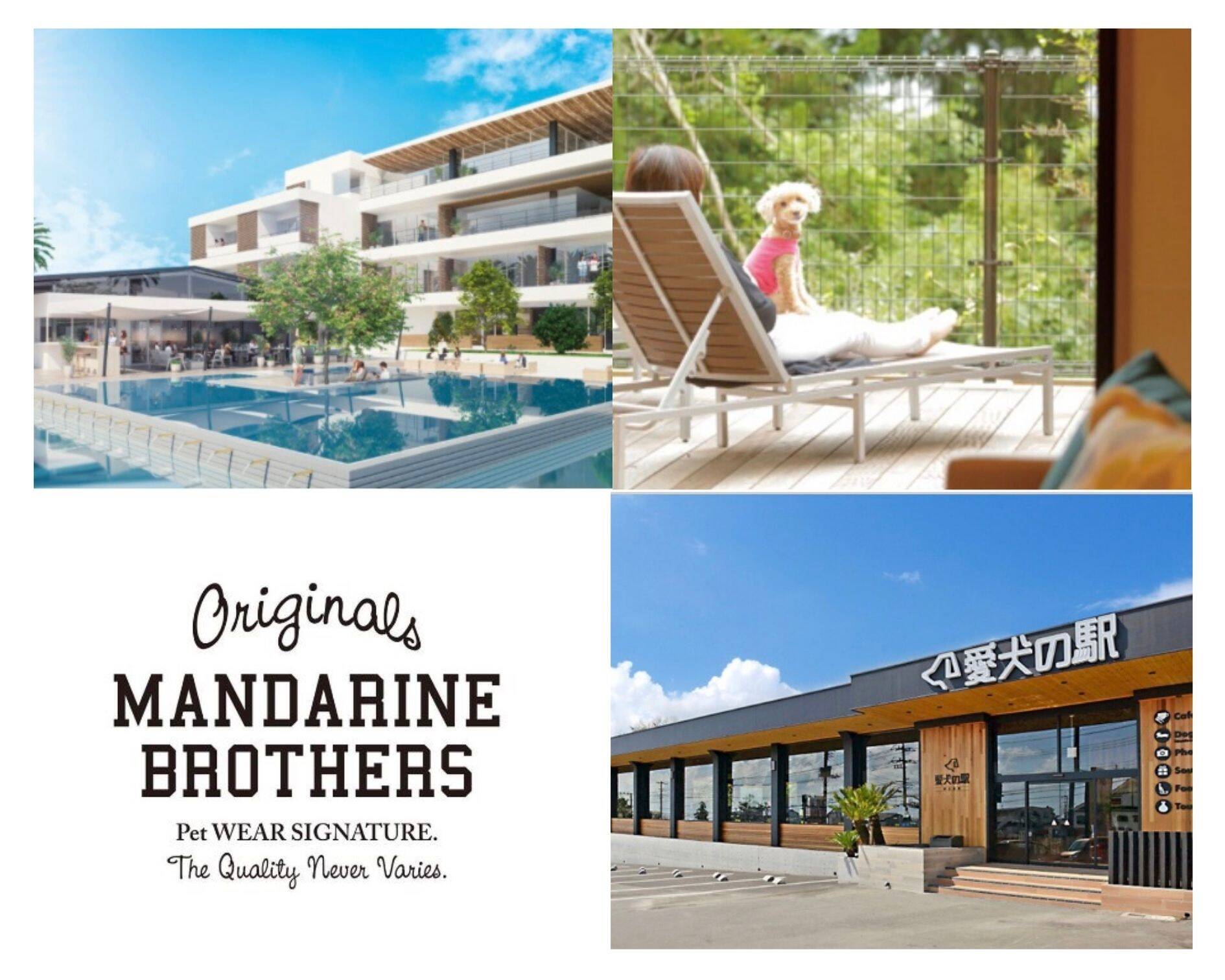 MANDARINE BROTHERS