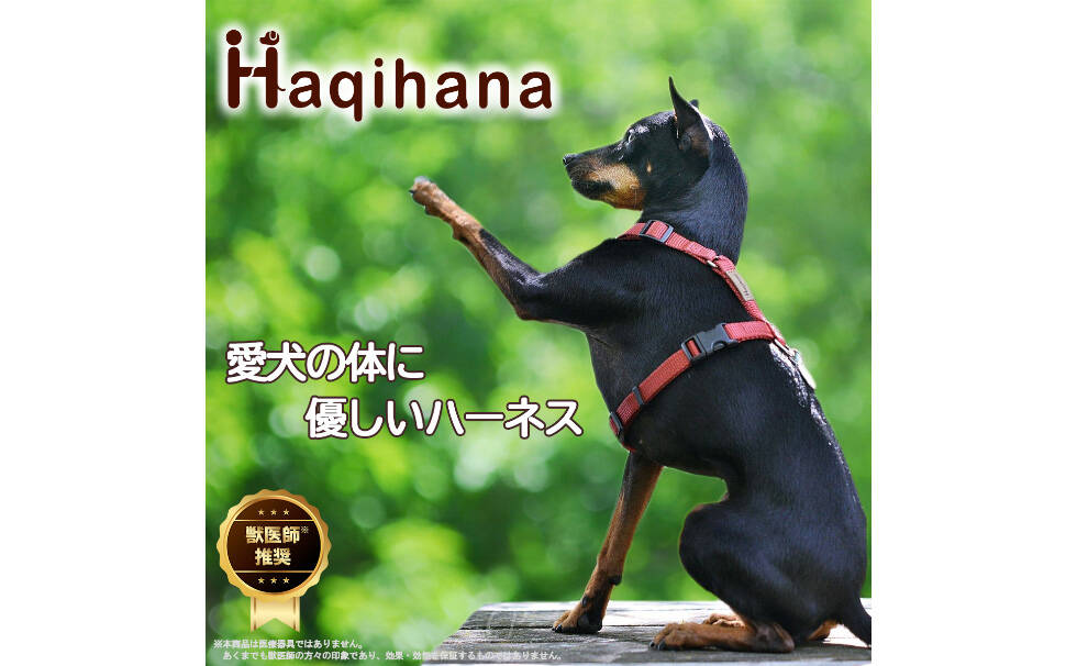 Haqihana　犬猫用ハーネス/リード