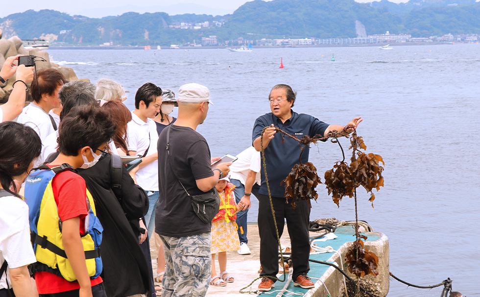 海を守るイベント