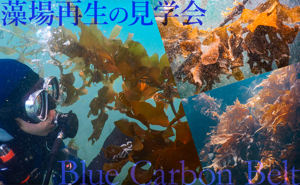 第5回LOVE OCEAN