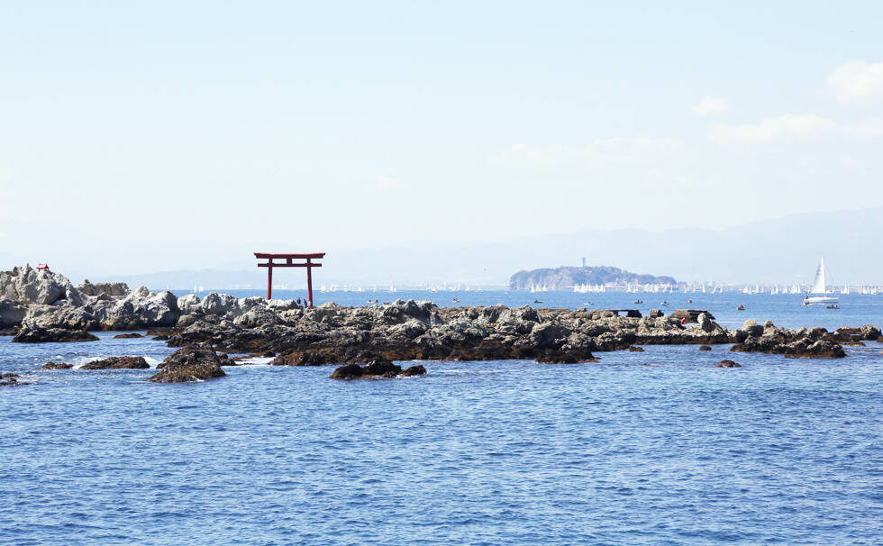 写真：海