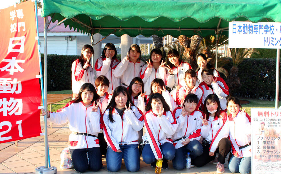 日本動物専門学校・専門学校日本動物21