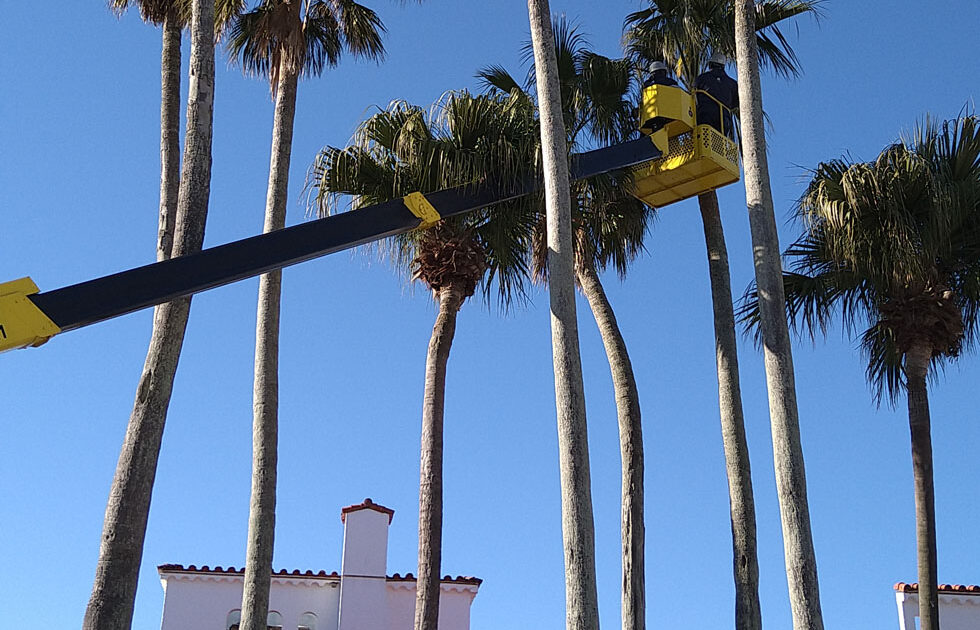 2e17ea0163792acb403ca8f51d39b1