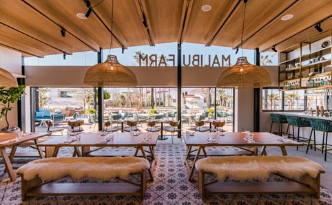 画像：ニューイヤーフェスティバル2026