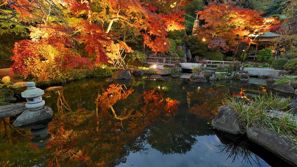 写真:長谷寺ライトアップ