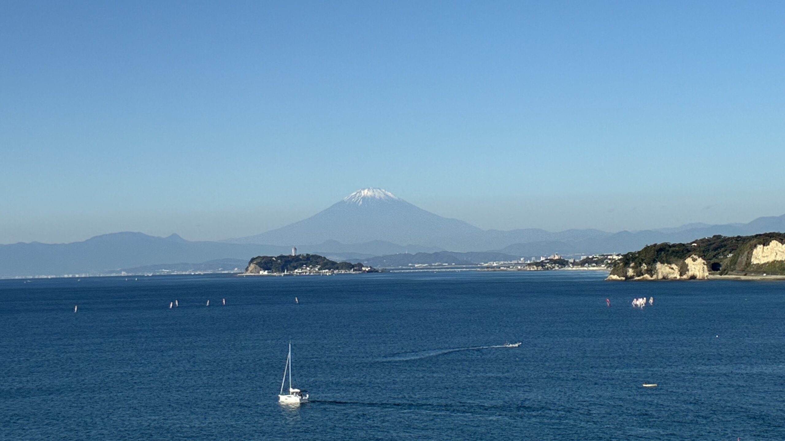 写真：本館眺望2