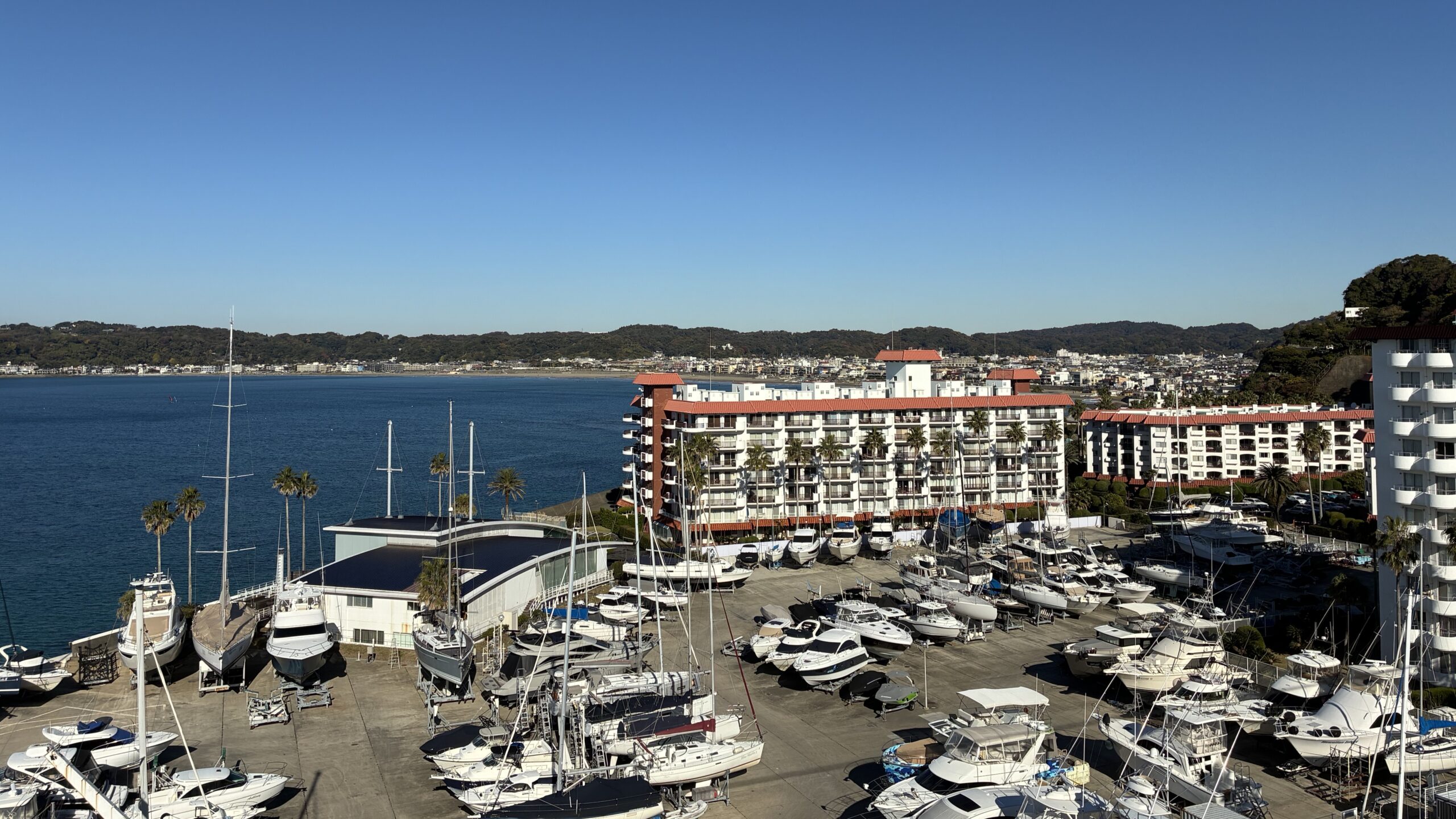 写真：本館眺望3