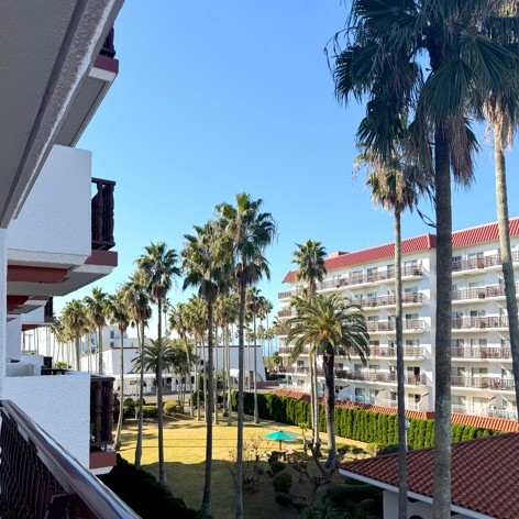 写真:５号棟眺望