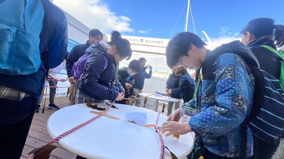 サステナビリティ　カジメの苗付