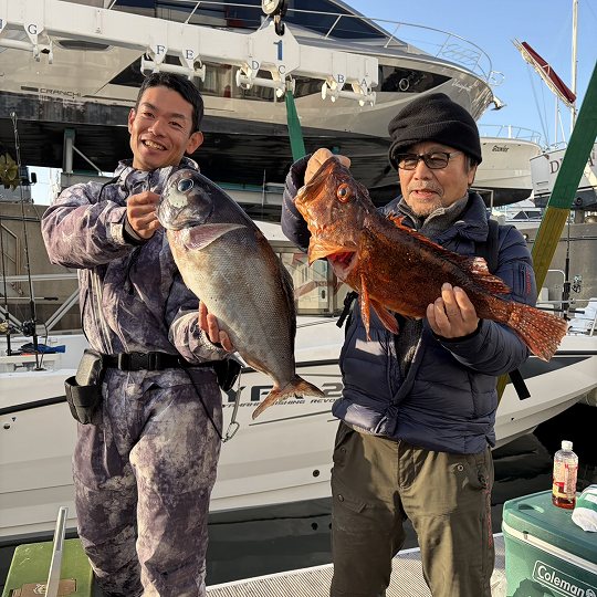 画像：カンコ60ｃｍ、メダイ70ｃｍ