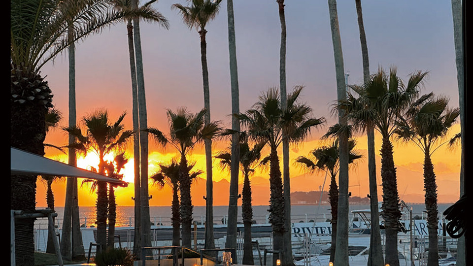 写真：マリブファームサンセット