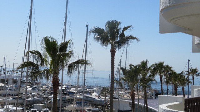 写真:1号棟眺望1